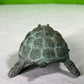 Vintage Bronze Turtle Statue