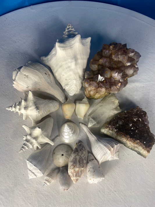 Stones and Shells Collection