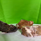 Citrine Mineral Lot