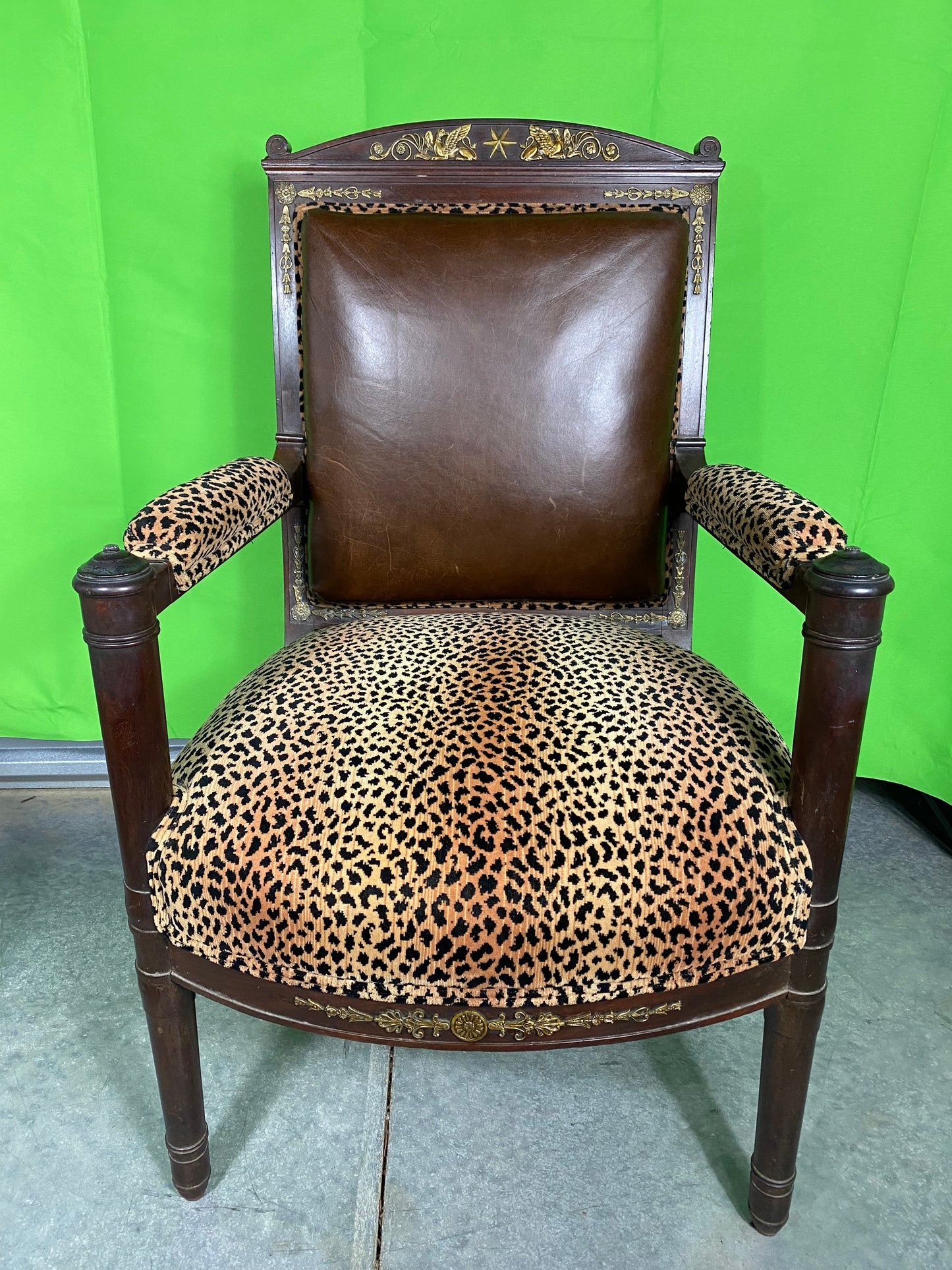 Regency Style Armchair with Leopard and Leather upholstery with Bronze Mounts