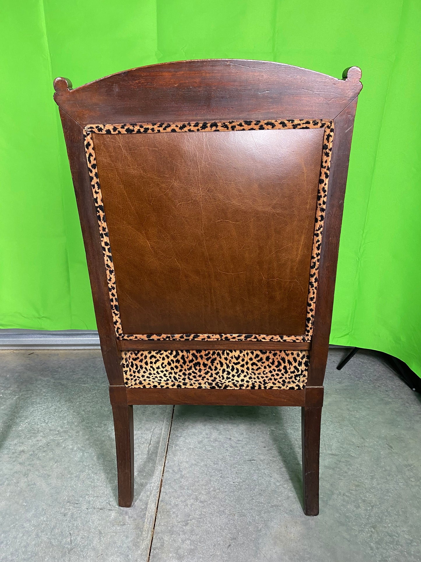 Regency Style Armchair with Leopard and Leather upholstery with Bronze Mounts