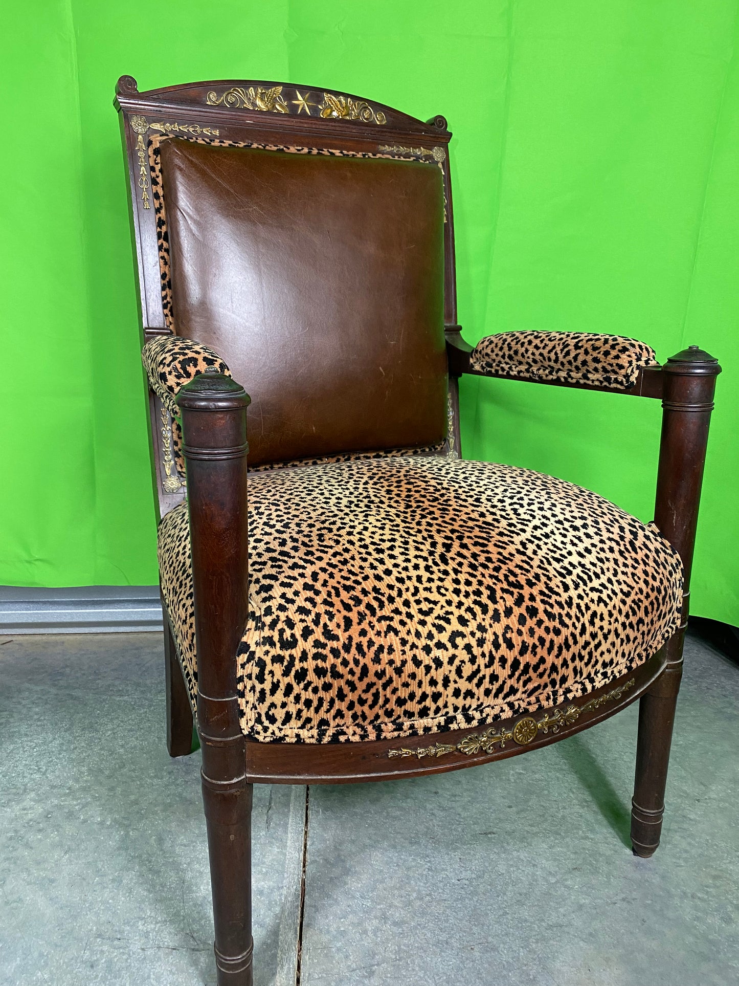 Regency Style Armchair with Leopard and Leather upholstery with Bronze Mounts