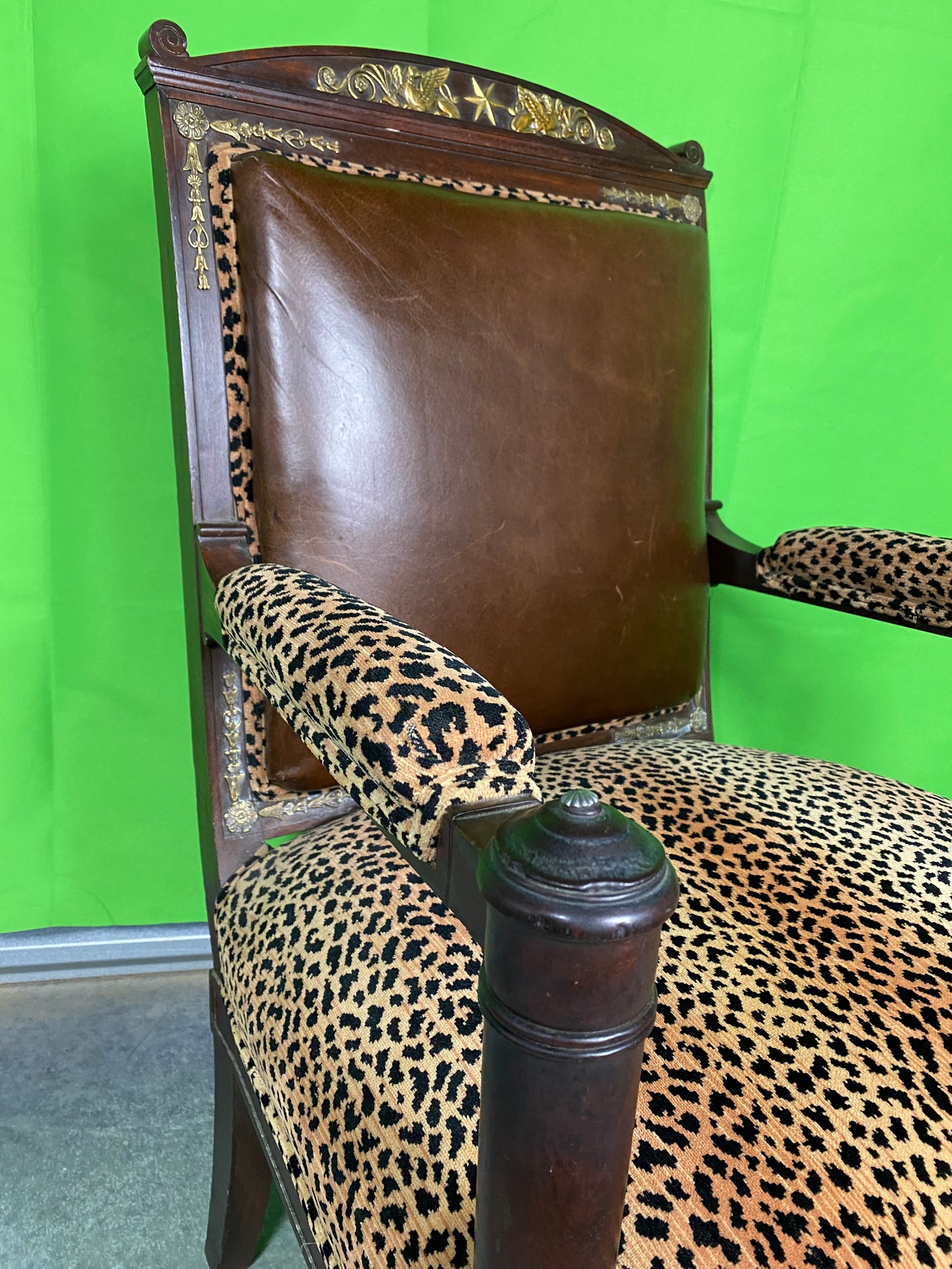 Regency Style Armchair with Leopard and Leather upholstery with Bronze Mounts